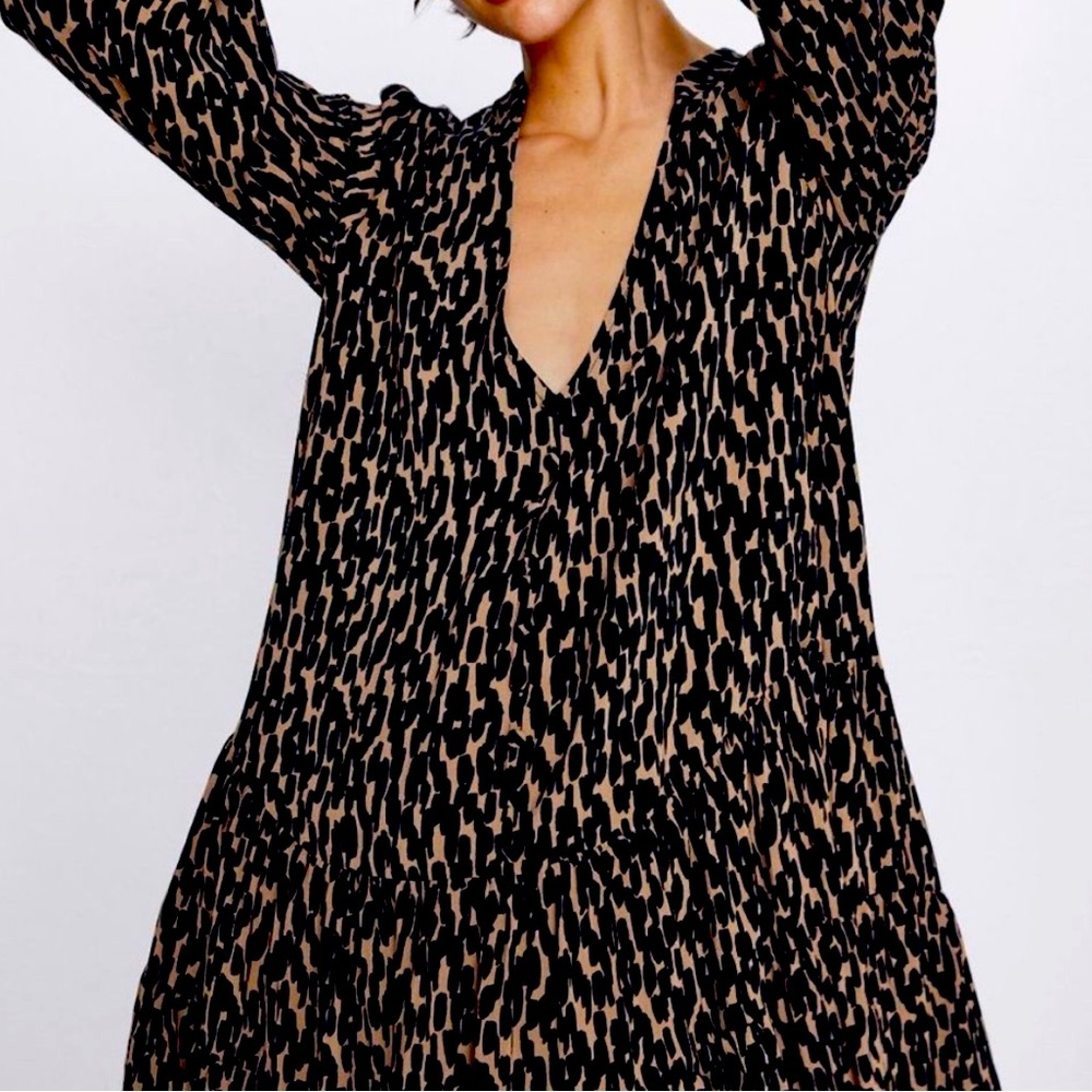 Zara Animal Print Dress